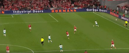 丹葡87.gif